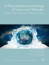Cover of Shaun Gallagher & Bruce Janz: A Neurophenomenology of Awe and Wonder