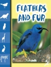 Cover of Stone: Feathers and Fur