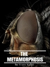Обложка RMB & Franz Kafka: The Metamorphosis