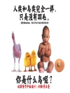 Обложка John Kaufman: 人类和鸟类完全一样，只是没有羽毛。