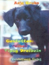 Cover of Anja Gruhn: Gestatten: Dreibein, Tipsy Dreibein