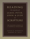 Portada de David Nienhuis & Robert W. Wall: Reading the Epistles of James, Peter, John & Jude as Scripture