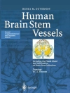 的封面 Henri M. Duvernoy: Human Brain Stem Vessels