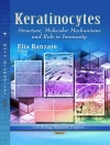ปกของ Elia Ranzato: Keratinocytes