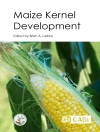 Cover of Brian A Larkins: Maize Kernel Development