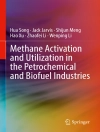 Обложка Hua Song & Jack Jarvis: Methane Activation and Utilization in the Petrochemical and Biofuel Industries