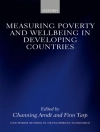Cover of Channing Arndt & Finn Tarp: Measuring Poverty and Wellbeing in Developing Countries