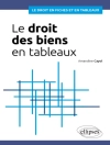 Copertina de Amandine Cayol: Le Droit des biens en tableaux