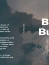 Cover of June Wang: Before I Burn Out