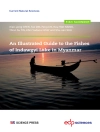 Обложка Dr. Xiao-yong Chen & Tao Qin: An Illustrated Guide to the Fishes of Indawgyi Lake in Myanmar