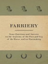 Обложка Anon.: Farriery - Some Questions and Answers on the Anatomy of the Foot and Leg of the Horse, and on Shoemaking