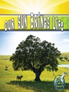 Cover of Storad: Our Sun Brings Life