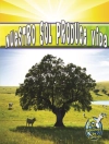 Cover of Storad: Nuestro sol produce vida