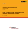 Cover of André Boer: Welche Auswirkungen hat die amerikanische Corporate Governance auf Unternehmen im Ausland?