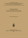 Sampul Wolfgang Beermann & Jean Brachet: Induktion und Morphogenese