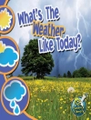 Cover of Storad: What's The Weather Like Today?