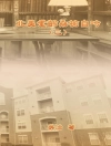 Hoes van Chih Wu & 吳治: My Golden Age Years at USA (Volume 3)