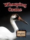 Portada de Stearns: Whooping Cranes