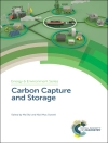 Обложка Mai Bui & Niall Mac Dowell: Carbon Capture and Storage