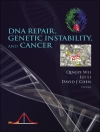 Örtmek Qingyi Wei & Lei Li: Dna Repair, Genetic Instability, And Cancer