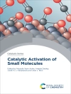 Copertina di Mustafa Yasin Aslan & Angela Daisley: Catalytic Activation of Small Molecules