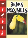 Cover of Stone: Beaks and Bills