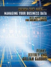 Couverture du Penny & Jeffrey: Mining New Gold—Managing Your Business Data