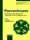 Cover of Faisst & Rommelaere: Parvoviruses