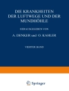 Hoes van C. E. Benjamins & E. Glas: Die Krankheiten der Luftwege und der Mundhöhle