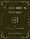 Cover of Evelyn Everett-Green: Shimmering Waters