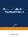 perlindungan daripada H. Chiari & Th. Fahr: Harnorgane Männliche Geschlechtsorgane