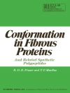 Cover of R Fraser: Conformation in Fibrous Proteins and Related Synthetic Polypeptides